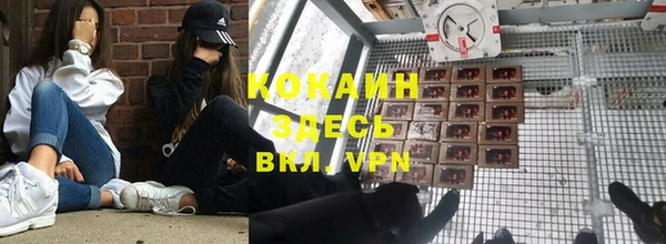 ПСИЛОЦИБИНОВЫЕ ГРИБЫ Балахна